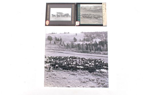 Two Glass Negatives And Photo From E. B. Thompson