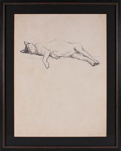 Ink on Paper, Cat Lying Down