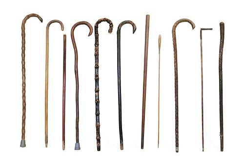 Group of Wooden Canes and Walking Sticks