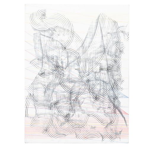 CARLOS AMORALES, Anti Tripicalia 5, 2016, Sin firma, Lápiz de grafito y color sobre cre, 50 x 37.5 x 4 cm