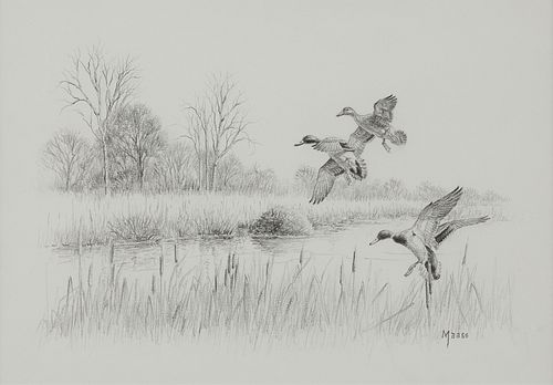 David Maas Graphite Drawing of Ducks