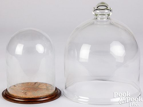 Glass cloche and dome