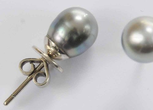 14kt. Pearl Earrings