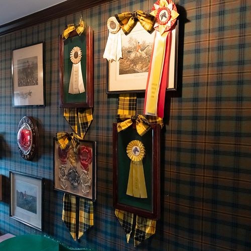 Group of Equestrian Show Ribbons