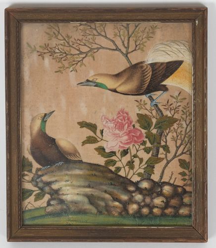 A 19th Century Chinese Pith Painting