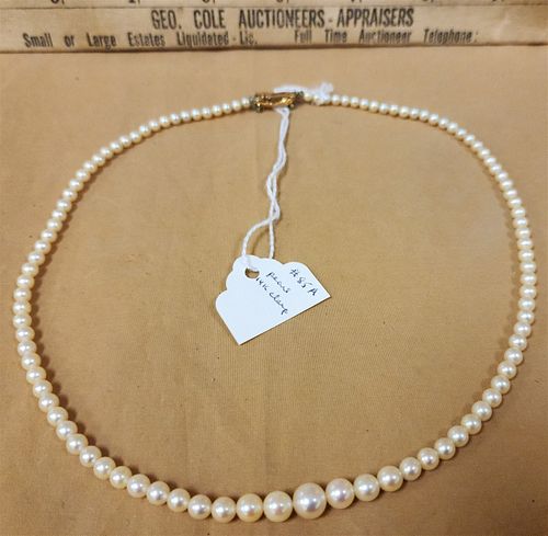 PEARL NECKLACE W/14K CLASP 16"