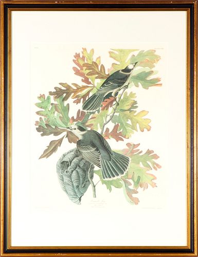 John James Audubon (After) Print