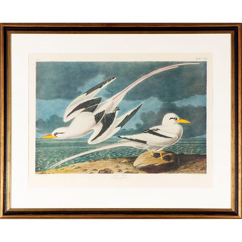 John James Audubon (After) Print