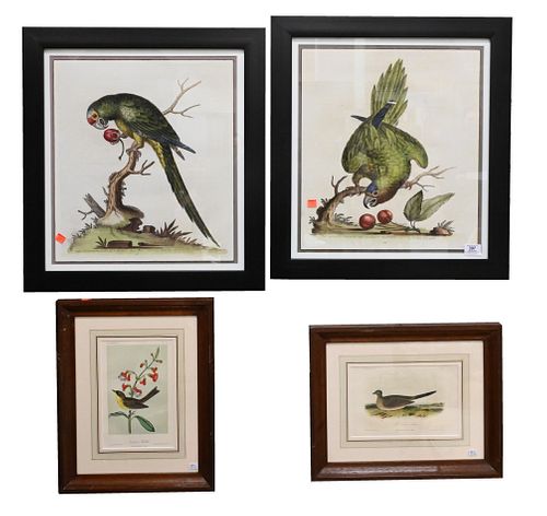 Eight Piece Framed Bird Grouping
