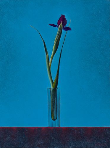 Joseph Nicoletti (Am. b. 1948), Single Iris, 1998, Oil on canvas, framed