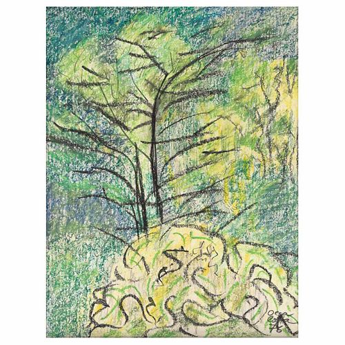 OLGA COSTA, Gráfica de follajes, Firmado y fechado 76, Crayones de color, lápiz de grafito y tinta sobre papel, 30 x 22 cm