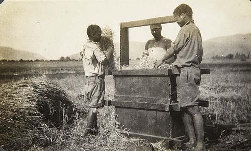 Photoalbum einer Deutschen Pflanzerfamilie in Suedafrika. Mit 105 Photographien. 1930er Jahre. Silbergelatine. In Quer.-4°-A