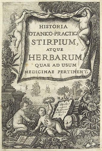 Morandi, Giambattista
Historia botanica practica. Seu plantarum quae ad usum medicinae pertinent, nomenclatura, descriptio et
