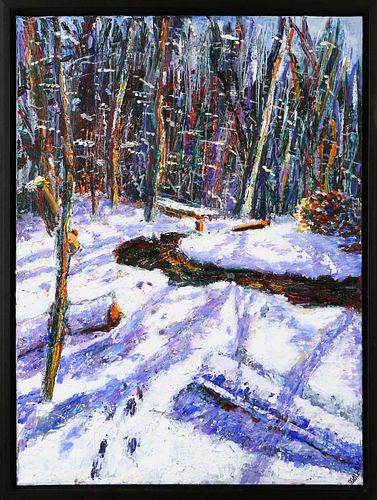 WINTER DUNDAS VALLEY CONSERVATION AREA by Barbara Galway