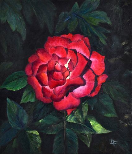 ROSE DELIGHT by Dorothy Forsyth