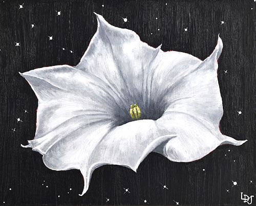 DATURA WITH JULY CONSTELLATIONS by Lisa Jefferies