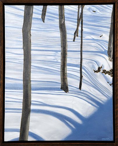 SNOWSCAPES III by Peter Fischer