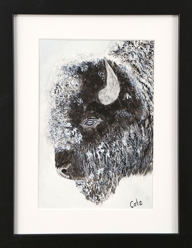 WINTER BISON by Cate Hawkins