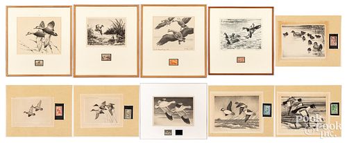 Ten federal duck stamps and prints