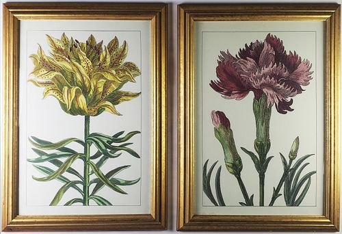 Pair of Vintage Oversized Botanical Chromolithograph Prints