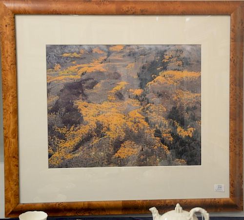 Christopher Burkett (1951) 
Cibachrome 
"Elk Mountain Colorado 1993"
printed 1994 print #8
signed in pencil on mat lower righ
