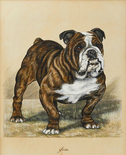 Portrait of a Bulldog "Jim"