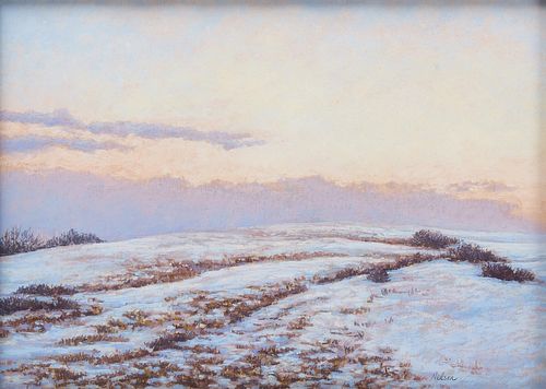 Nelson - Winter Landscape