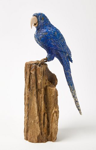 Lapiz Lazuli Carved Parrot - Petrified Wood Base