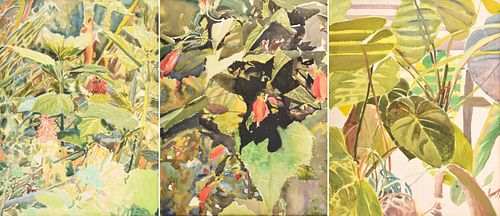 3 Roger Howrigan Botanical Watercolor Paintings