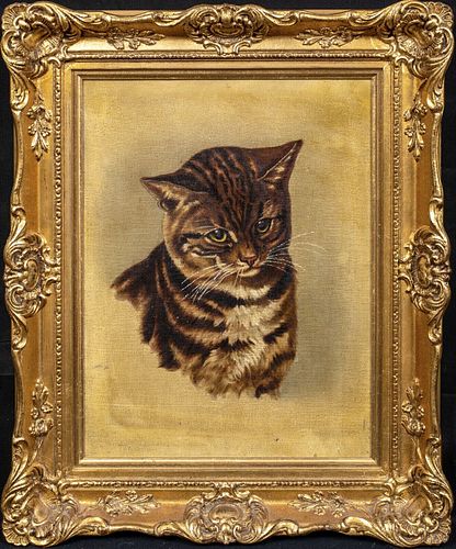  PORTRAIT OF A TABBY CAT KITTEN ANTIQUE OIL PAINTING