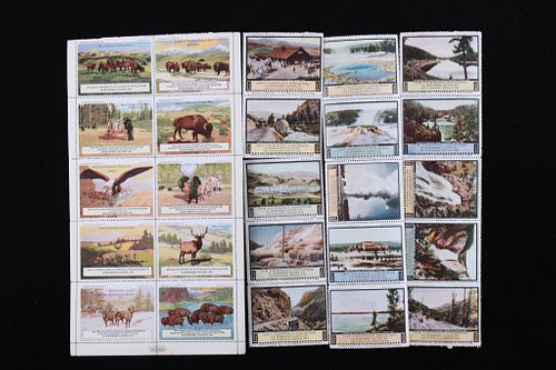 Northern Pacific Railway Yellowstone Stamps