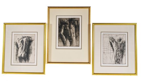 Trevor Southey, 3 Etchings of Male Anatomy