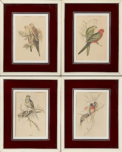 John Gould (1804-1881), "Parakeets," c. 1930, grou