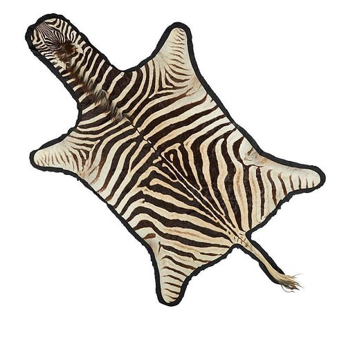 Zebra Skin Rug 10'6" x 5'11"