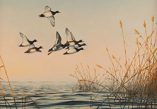 Gary Moss Duck Wildlife Painting