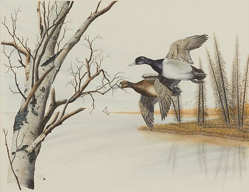 Al Dornisch Watercolor Painting of Waterfowl