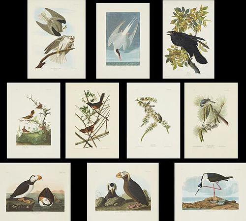 John James Audubon (1785-1851), "Raven," No. 21, P
