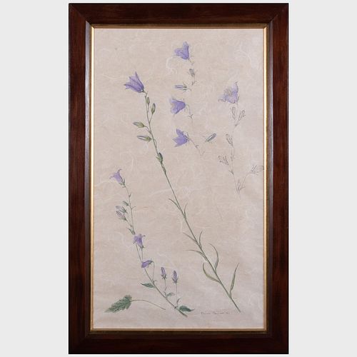 Emma Tennant (b. 1943): Purple Flowers