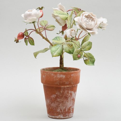 Vladimir Tole and Porcelain Model of a Rose Bush
