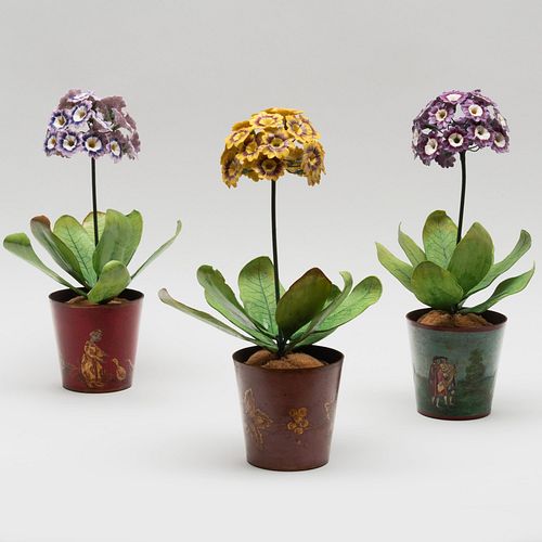 Group of Three Porcelain and Tole Models of Auricula