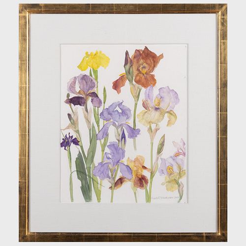 Elizabeth W. Blackadder 1931-2021): Irises