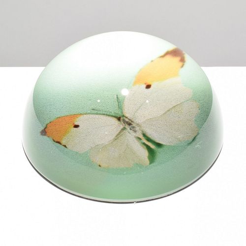 Damien Hirst BUTTERFLY Paperweight