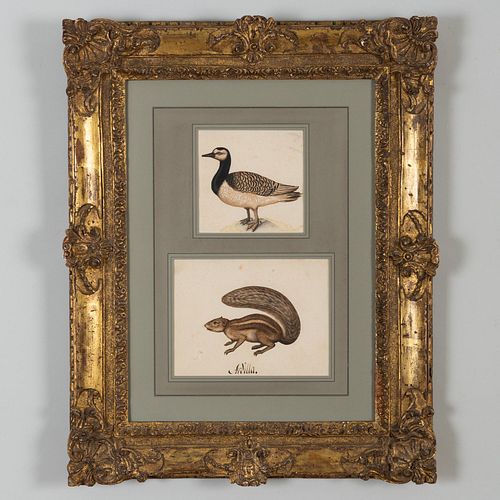Lambert Lombard (1506-1566): A Duck and A Squirrel
