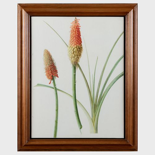 Brigid Edwards (b. 1940): Red Hot Pokers; and Heliconia, Tjampuhan, Ubud