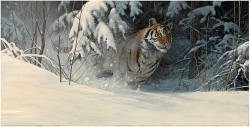 Doug Laird's "Tiger in Winter" Original