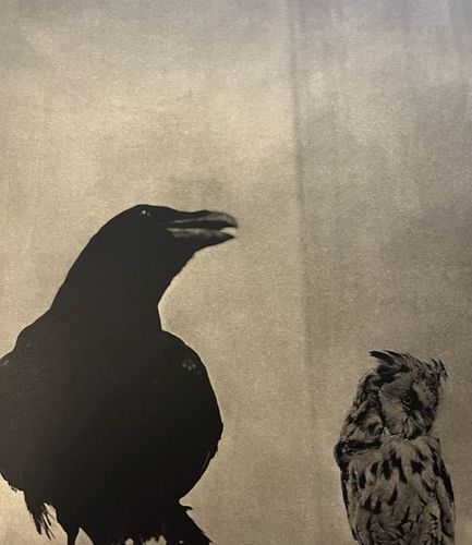 Jim Dine "Black and Owl, 2000" Print.