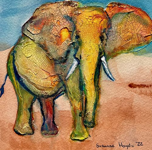 SUZANNE HAYDU, Elephant 4 U