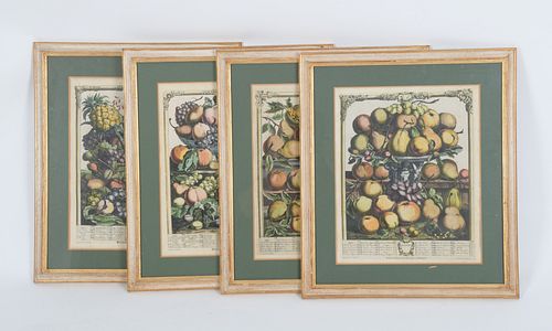 Furber/Casteels, Four Botanical Prints