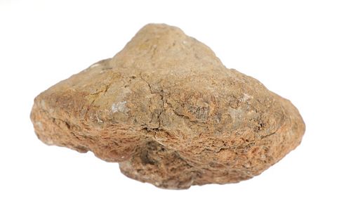Large Mesozoic Era Dinosaur Coprolite From Utah