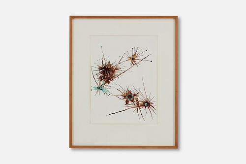 Jess von der Ahe, Untitled (Urchins) 